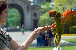 Bronx Zoo